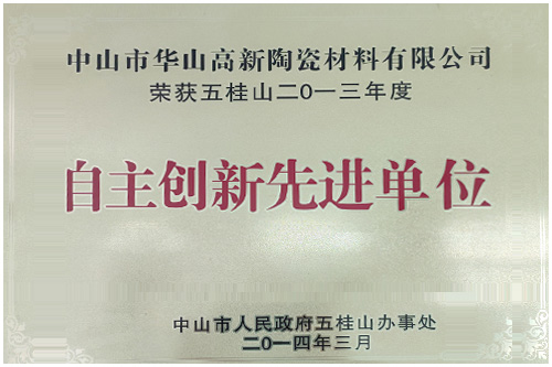 自主创新先进单位